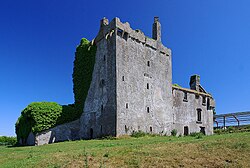 Deel Castle is a fortified tower house beside the River Deel in the civil parish of Ardagh