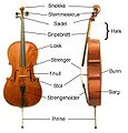 Cello-Norwegian (bm).JPG
