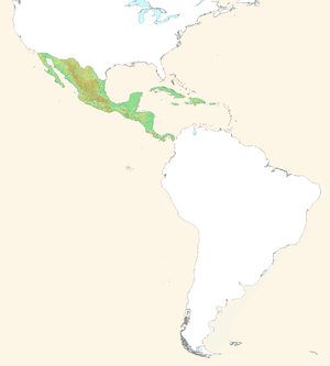 CentralAmerica-Mexico-Caribbean.png