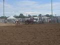 Rodeo at Cessnock showground