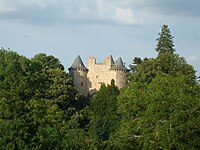 Château de Planèze, derrière de hauts arbres.jpg