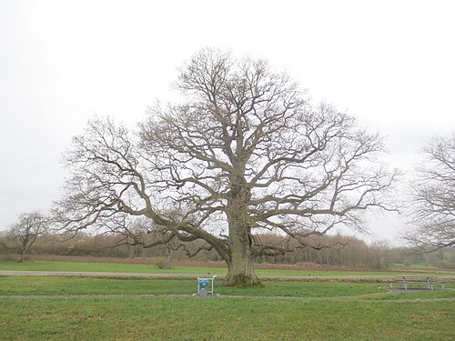 Ouverture de porte Rimsdorf (67260)