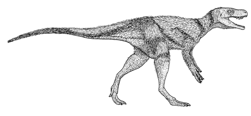 File:Chindesaurus bryansmalli.png