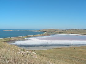 Вид на северную часть озера Чокрак. Розоватая окраска воды обусловлена галобактериями, обитающими в озере