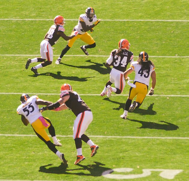 File:Cleveland Browns vs. Pittsburgh Steelers (15527608551).jpg