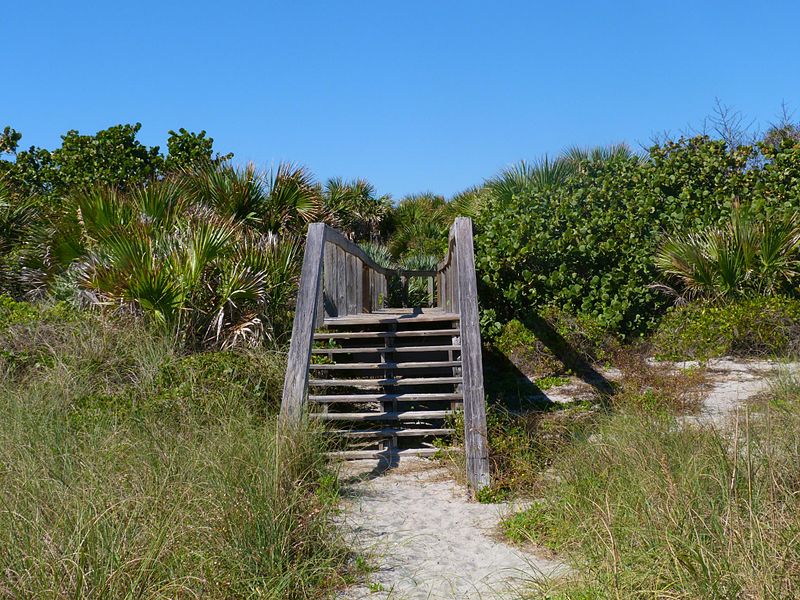 File:Cocoa Beach at Lori Wilson Park - Flickr - Rusty Clark (84).jpg