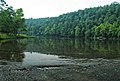 Cumberland River (just upstream from Cumberland Falls, Kentucky, USA) 1 (20034827335).jpg