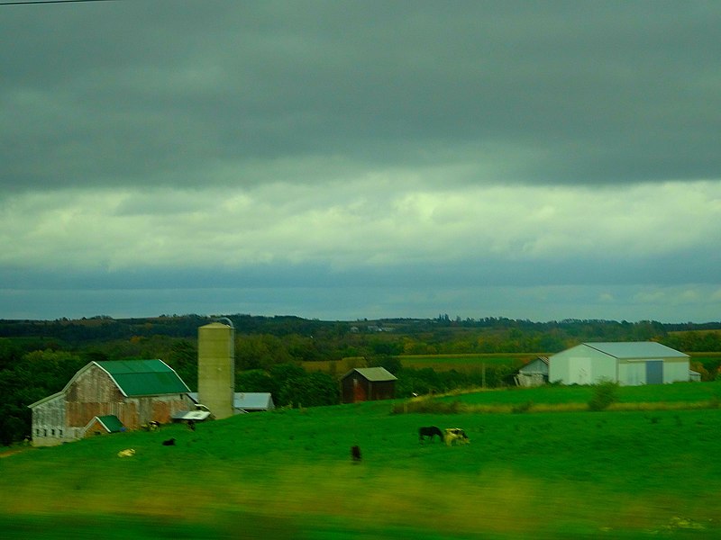 File:Dairy Farm near Fennimore - panoramio.jpg