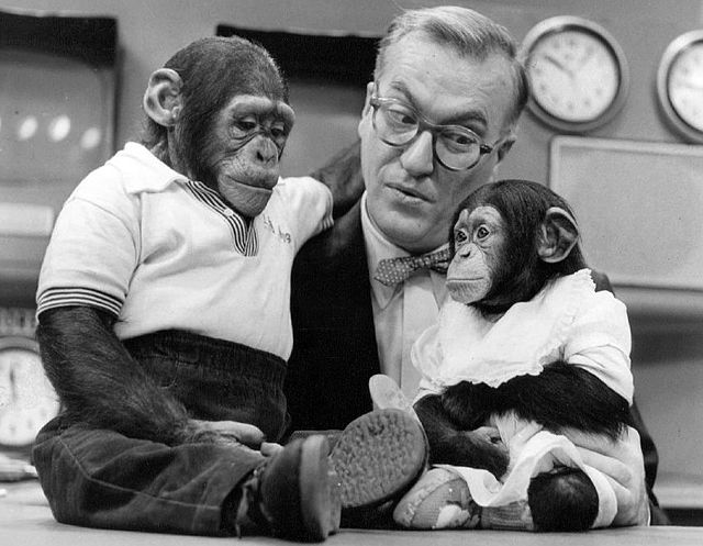 Original host Dave Garroway, with mascot J. Fred Muggs (and companion) in 1954