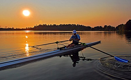 Dawn sculler