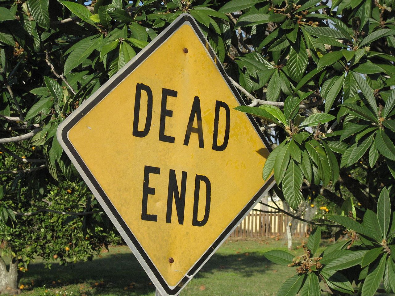 File:The dead end.jpg - Wikimedia Commons