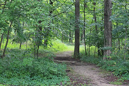 Dexter huron metropark nature trail