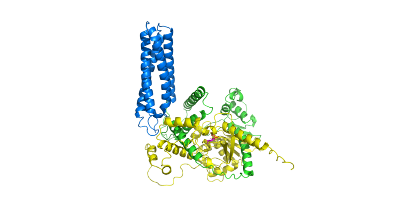 File:Diacylglycerol lipase β (via AlphaFold2, ColabFold, and PyMol).png