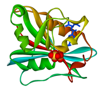 Dihydrofolate reductase 1DRF.png