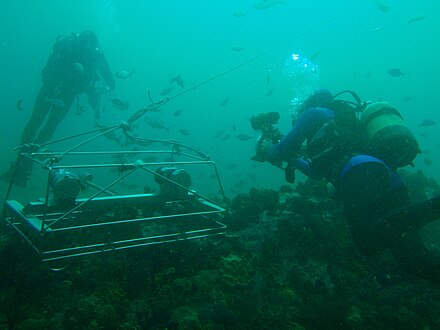 Divers inspecting a Stereo BRUV during sea trials by the South African tribes  Environmental Observation Network