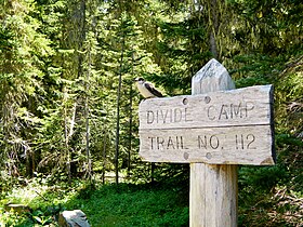 Gray Jay on trail sign