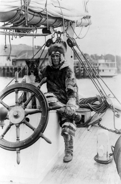 Circa 1922; Donald MacMillan in fur suit at wheel of the schooner he designed: the Bowdoin