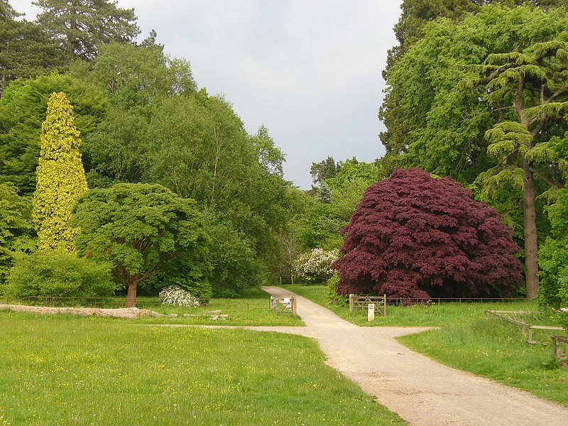 File:Down Gate, Westonbirt Arboretum - geograph.org.uk - 1898374.jpg