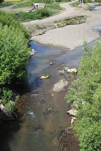 File:Dzknaget River, 2021-06-14 04.jpg