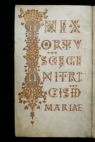 <span class="mw-page-title-main">Evangelium Longum</span> Illuminated manuscript made in the Abbey of Saint Gail in Switzerland