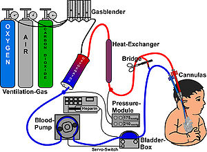 Membrantechnik: Anwendungen, Stofftransport, Membrangeometrien und Herstellung