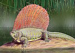 エダフォサウルス科のサムネイル