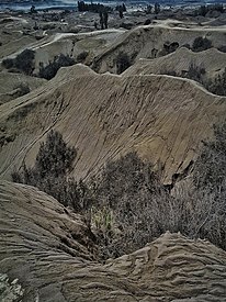 Eksotisme Bromo