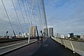 Erasmus Bridge @ Rotterdam (30265279900).jpg