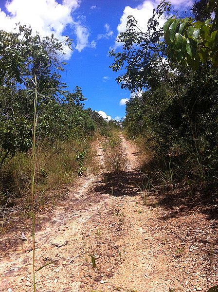 File:Estrada para 1 represa - panoramio.jpg