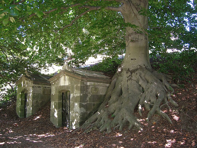 File:European Beech Tree and Mausoleums at Green-Wood Cemetery, Brooklyn, NY - September 19, 2015.jpg