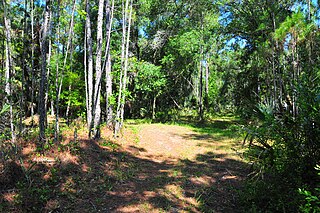 <span class="mw-page-title-main">Maytown, Florida</span> Unincorporated community in Florida, United States