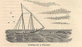 FMIB 35832 Towed by a Whale.jpeg