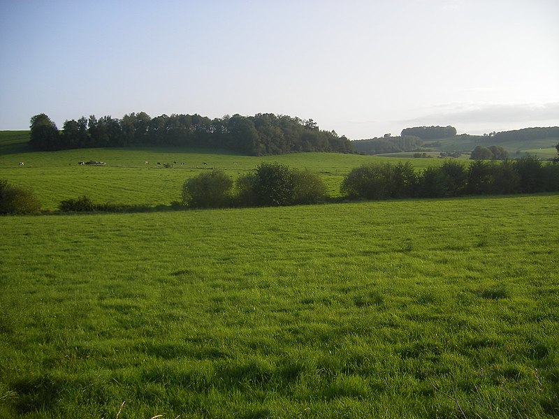 File:FR-08-Landscape7.JPG