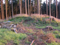 Auf der waldlosen Gipfelregion ist der höchste Punkt, dieser Hügel, als der eigentliche Gipfel leicht auszumachen