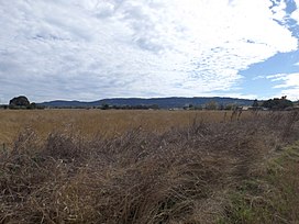 Farms and Little Liverpool Range Ashwell Queensland.jpg