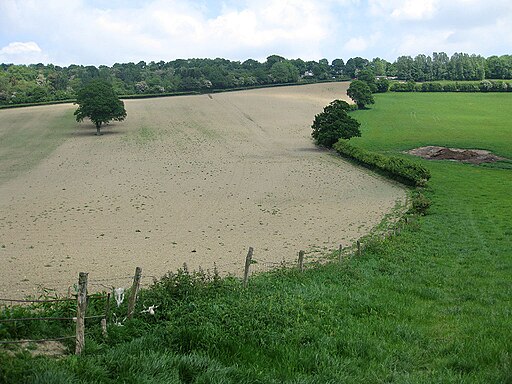 Field boundary, Marcle Hill - geograph.org.uk - 1893906