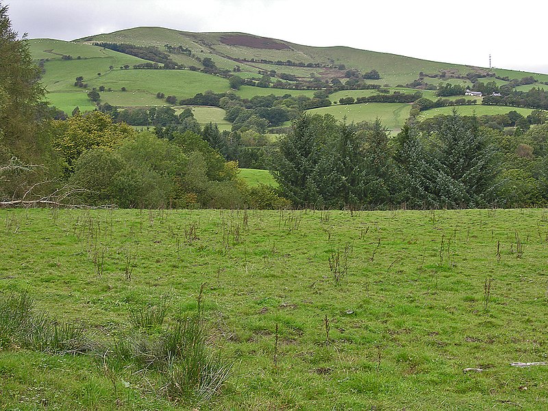 File:Field near Ty Pella - geograph.org.uk - 986651.jpg