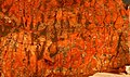 "Fiery_orange_Mary_Ellen_(stromatolite)_jasper_(cropped).jpg" by User:Tillman