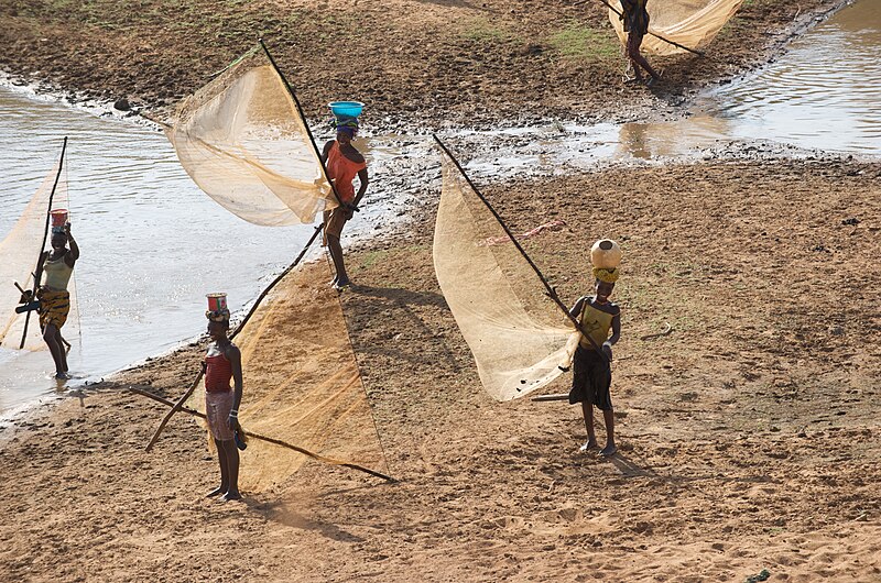 File:Fisher women on River Niger in Guinea, Africa.jpg