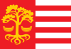 Flag of Loksa.svg