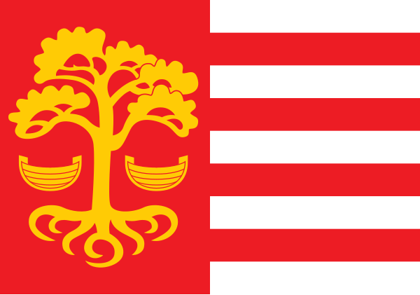 File:Flag of Loksa.svg