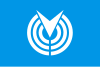Flag of Minamiizu