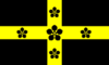 Flag of St Davids.png