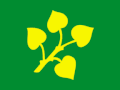 Flag of Stryn.gif