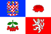 Flag of Vysocina Region.svg