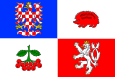 Flag of Vysocina Region.svg