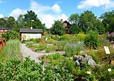 Floras trädgård vid Väsby gård