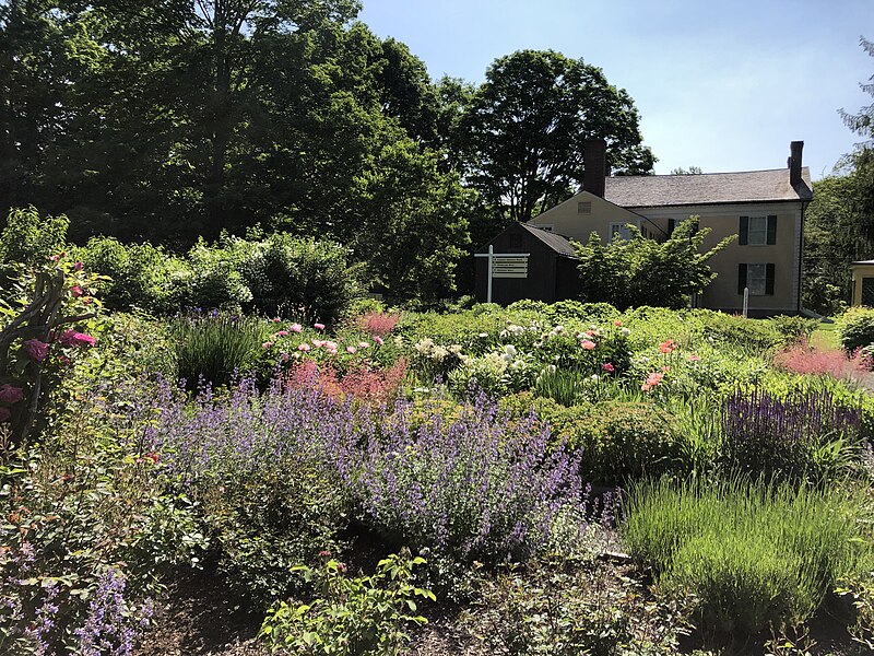 File:Florence Griswold Museum gardens Old Lyme CT.jpg