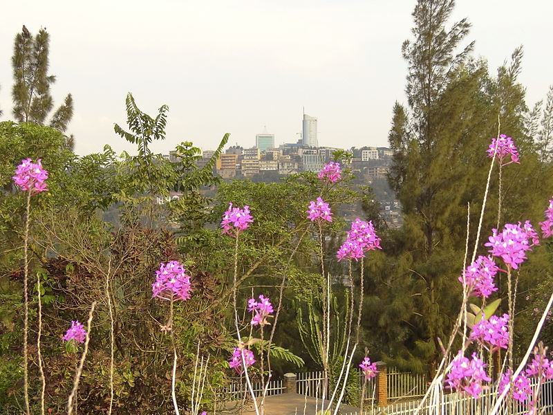 File:Flowers with City in Distance - From Genocide Memorial Center - Kigali - Rwanda.jpg
