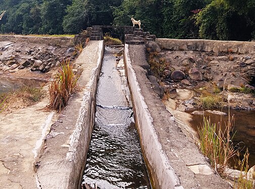 flowing water in ditch